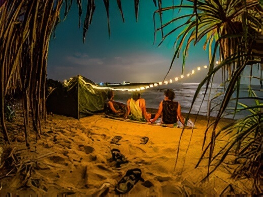 Sri Lanka camping — Starlit Wilderness Night (Night Camping) | Nature Nest
